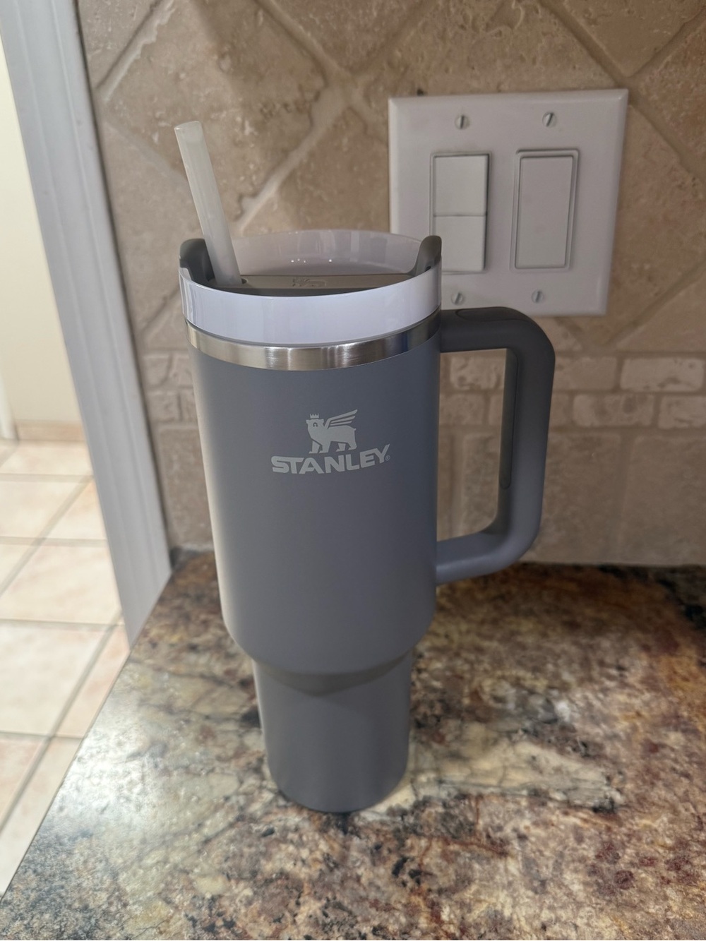 Stanley Matte Gray Insulated Travel Mug with Handle and Straw